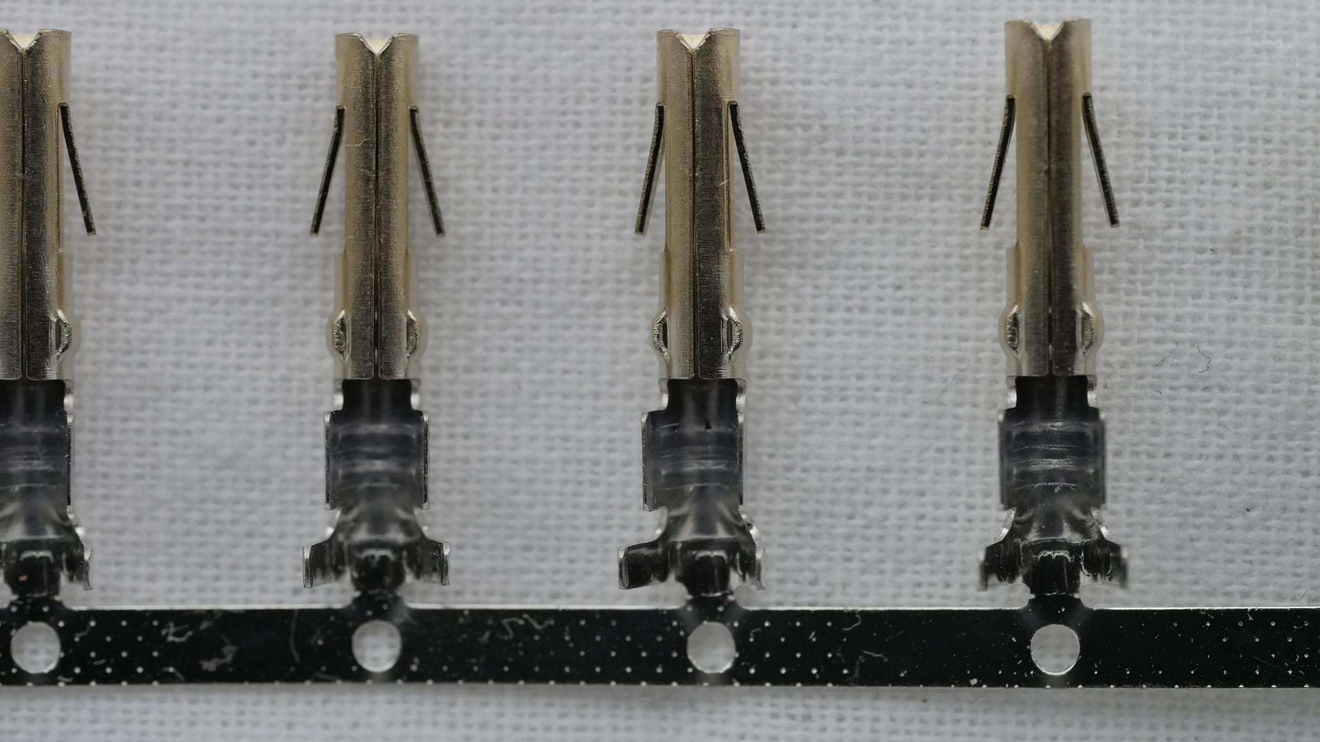 Molex Pins Female - Singularity Computers