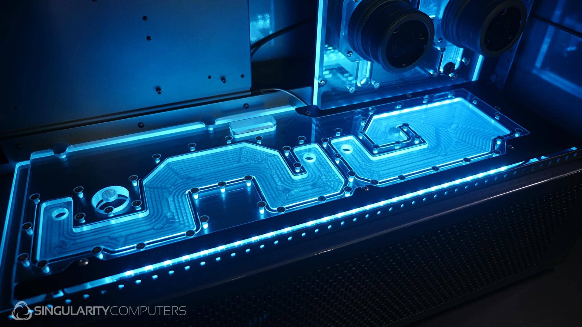若者の大愛商品 Loop Dual SMA8 Caselabs Distribution Singularity - Set Plate ギター